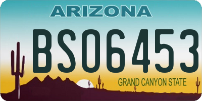 AZ license plate BSO6453