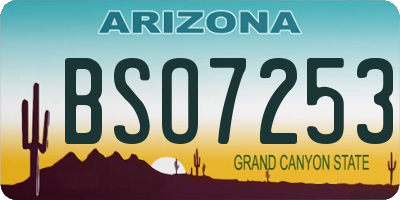 AZ license plate BSO7253