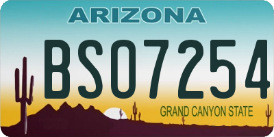 AZ license plate BSO7254
