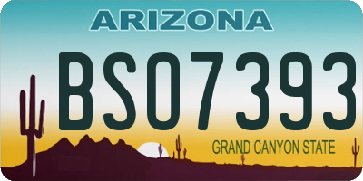 AZ license plate BSO7393