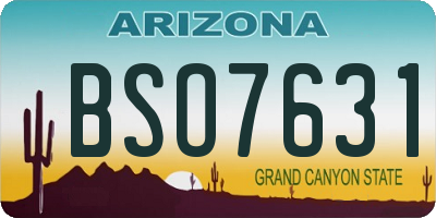 AZ license plate BSO7631