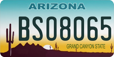AZ license plate BSO8065