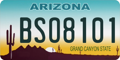 AZ license plate BSO8101