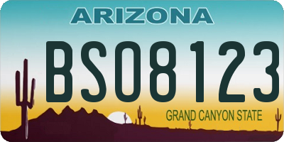 AZ license plate BSO8123