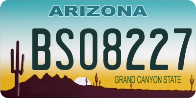 AZ license plate BSO8227