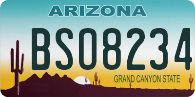 AZ license plate BSO8234