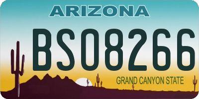 AZ license plate BSO8266