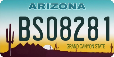 AZ license plate BSO8281