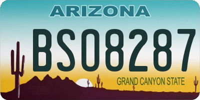 AZ license plate BSO8287