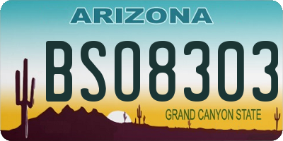 AZ license plate BSO8303