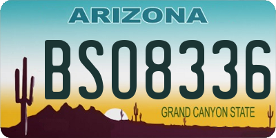 AZ license plate BSO8336