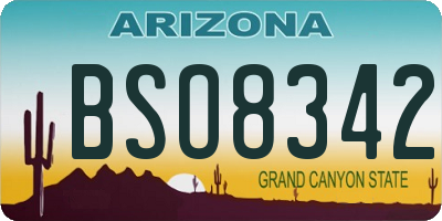 AZ license plate BSO8342