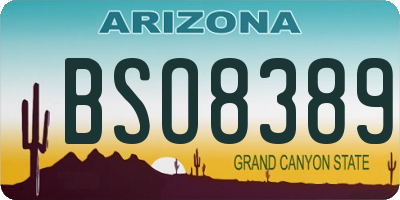 AZ license plate BSO8389
