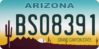 AZ license plate BSO8391