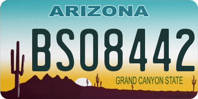 AZ license plate BSO8442