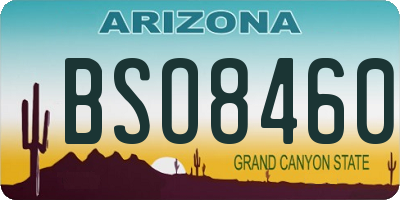 AZ license plate BSO8460