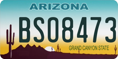 AZ license plate BSO8473