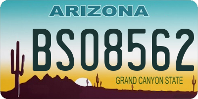 AZ license plate BSO8562