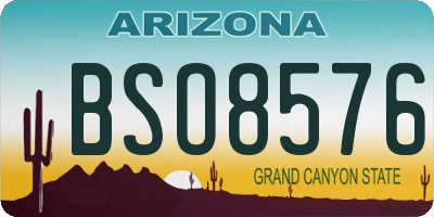 AZ license plate BSO8576