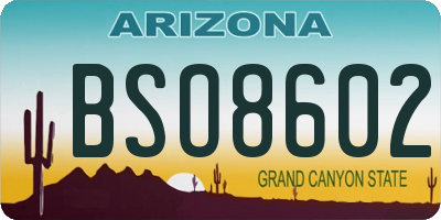 AZ license plate BSO8602