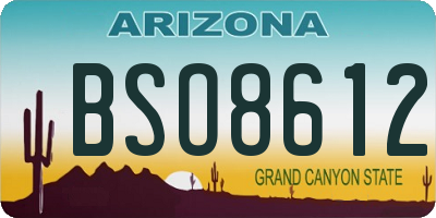 AZ license plate BSO8612