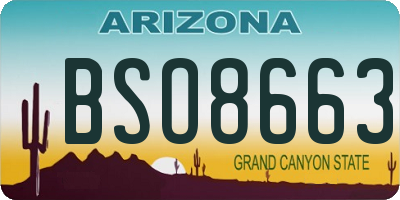 AZ license plate BSO8663