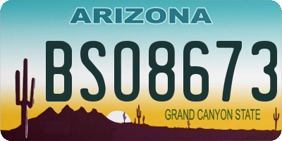AZ license plate BSO8673
