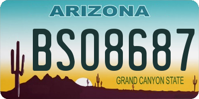 AZ license plate BSO8687