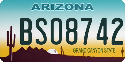 AZ license plate BSO8742