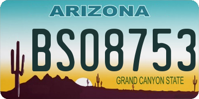 AZ license plate BSO8753