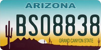 AZ license plate BSO8838