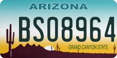 AZ license plate BSO8964