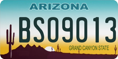 AZ license plate BSO9013
