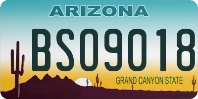 AZ license plate BSO9018