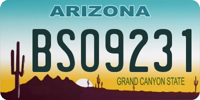 AZ license plate BSO9231