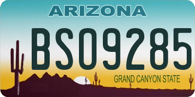AZ license plate BSO9285