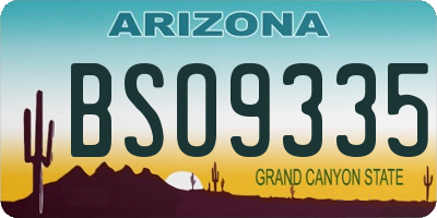 AZ license plate BSO9335