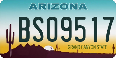 AZ license plate BSO9517