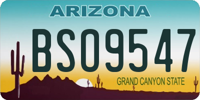 AZ license plate BSO9547