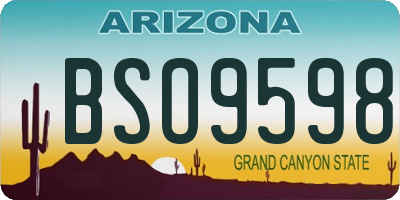 AZ license plate BSO9598