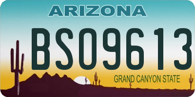 AZ license plate BSO9613