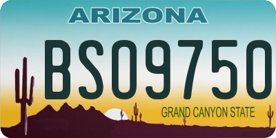 AZ license plate BSO9750