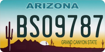 AZ license plate BSO9787