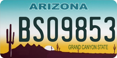 AZ license plate BSO9853