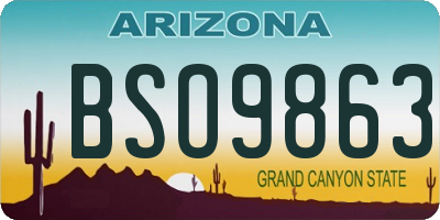 AZ license plate BSO9863