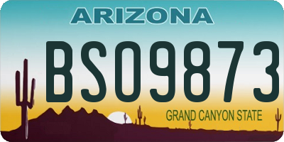 AZ license plate BSO9873