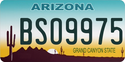 AZ license plate BSO9975