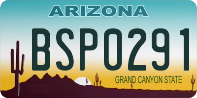 AZ license plate BSP0291