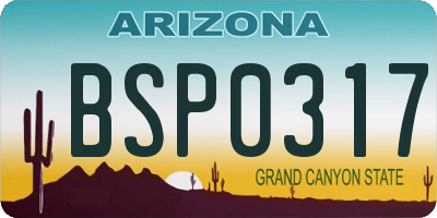 AZ license plate BSP0317
