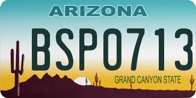 AZ license plate BSP0713
